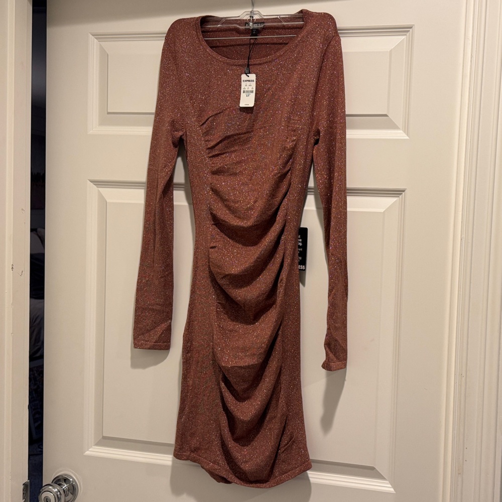 Express Shimmering Rust Long Sleeve Dress